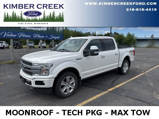 2019 Ford F-150 Platinum Pine River MN