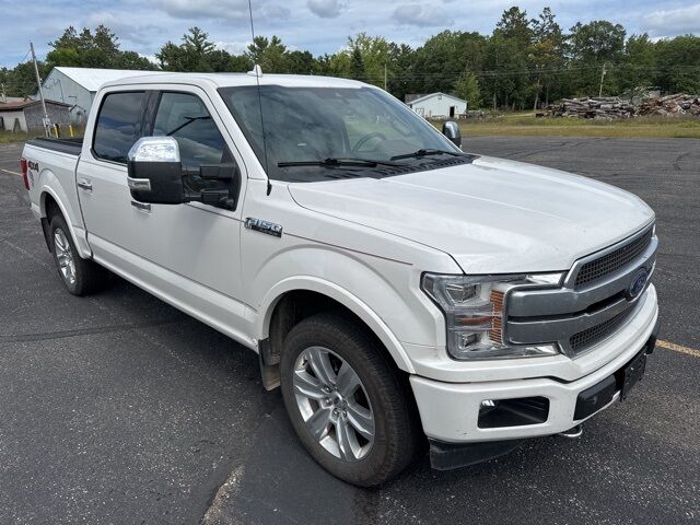 2019 Ford F-150 Platinum Pine River MN