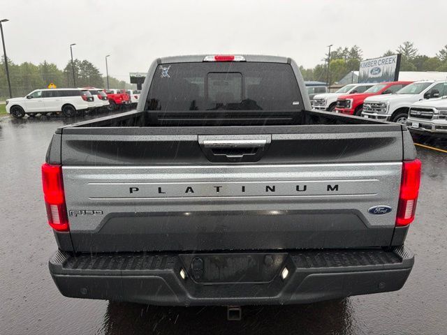 2019 Ford F-150 Platinum Pine River MN