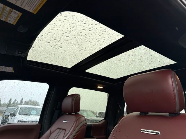 2019 Ford F-150 Platinum Pine River MN