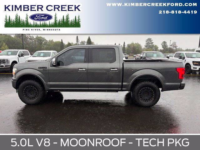 2019 Ford F-150 Platinum