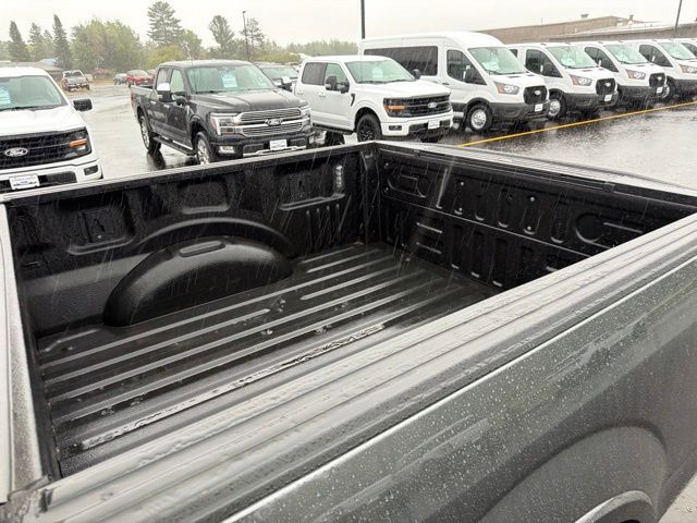 2019 Ford F-150 Platinum Pine River MN