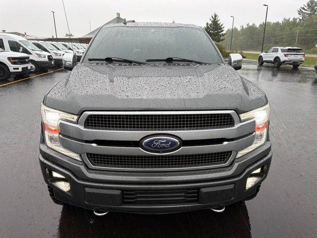 2019 Ford F-150 Platinum Pine River MN