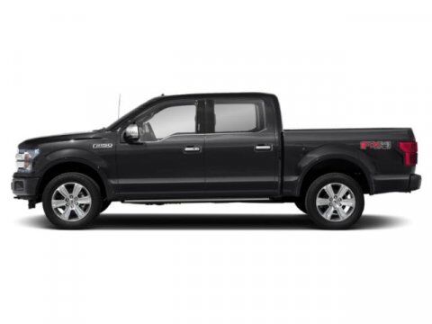2019 Ford F-150 Platinum Winder GA