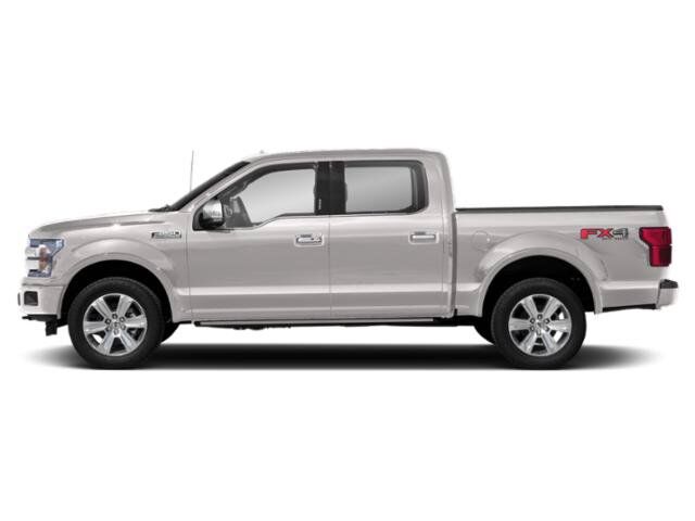 2019 Ford F-150 Platinum Winder GA