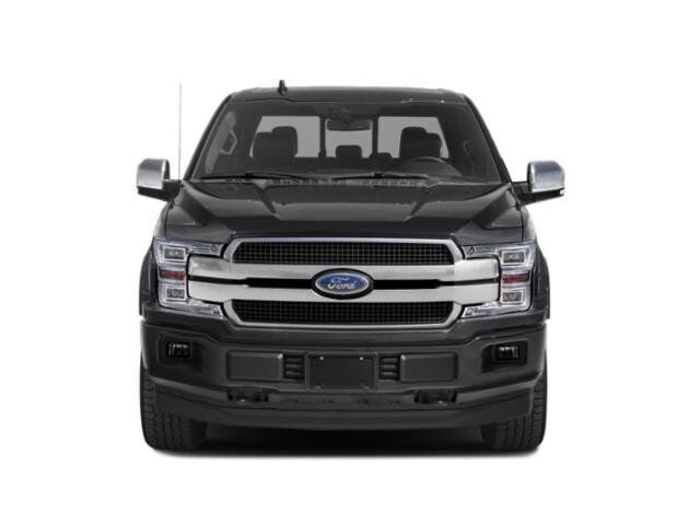 2019 Ford F-150 Platinum Winder GA