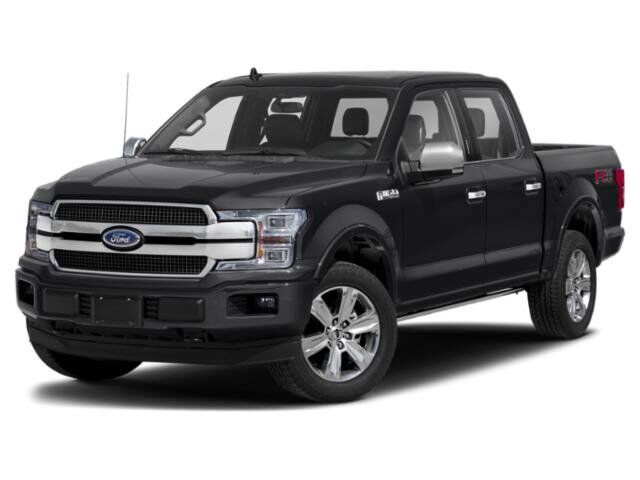 2019 Ford F-150 Platinum Winder GA