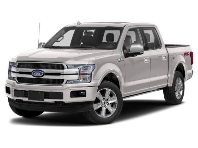 2019 Ford F-150 Platinum Winder GA