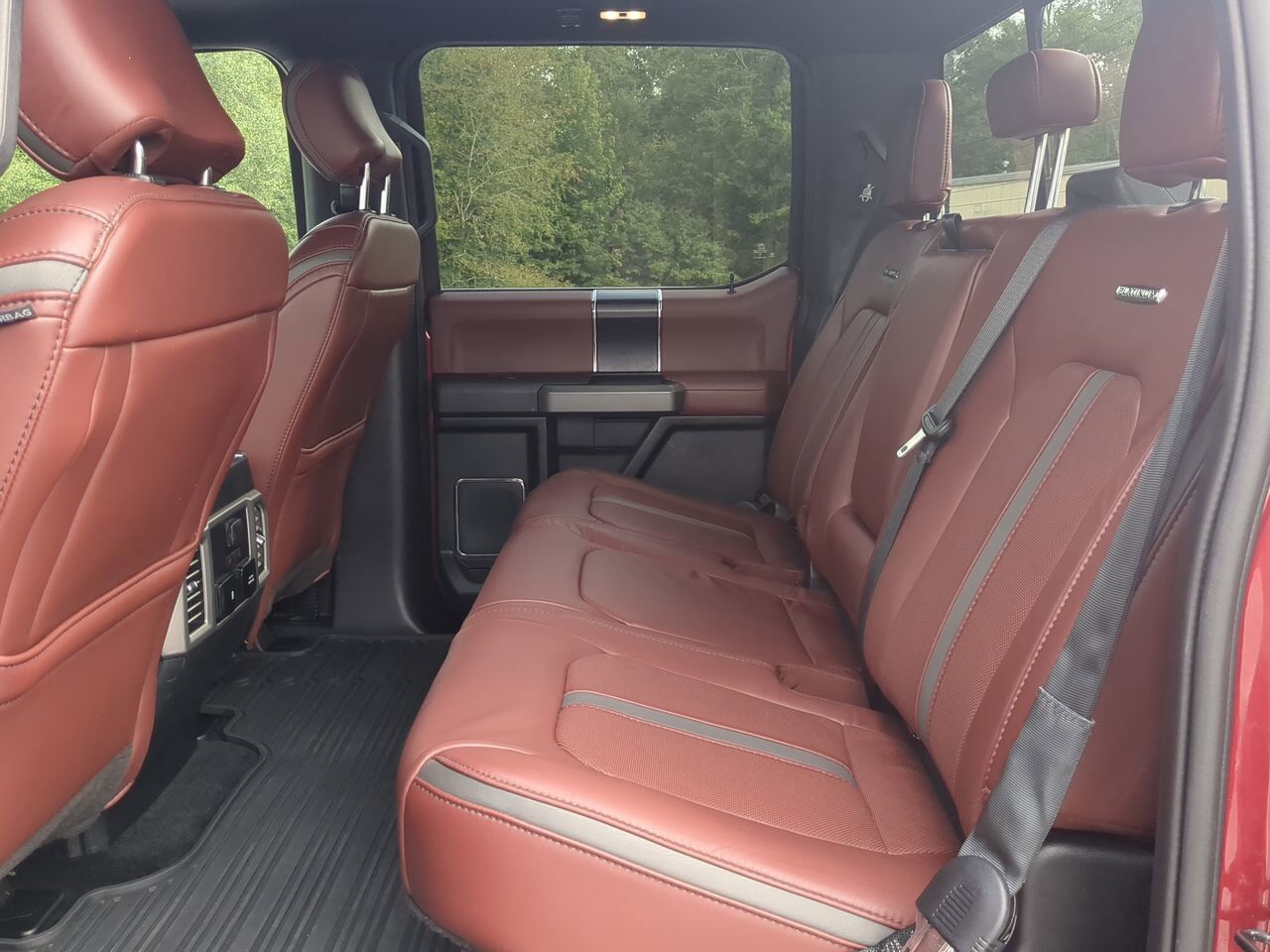 2019 Ford F-150 Platinum Winder GA