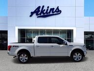 2019 Ford F-150 Platinum Winder GA 2019 Ford F-150 Platinum Winder GA