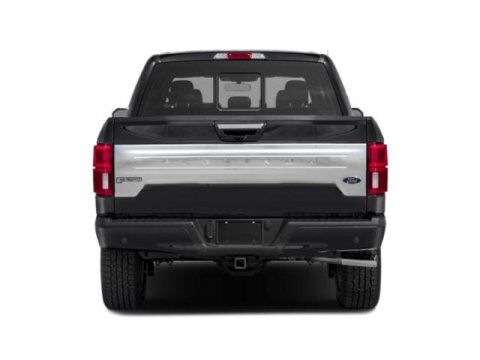 2019 Ford F-150 Platinum Winder GA