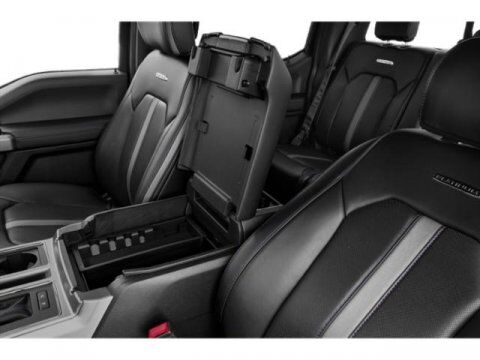2019 Ford F-150 Platinum Winder GA
