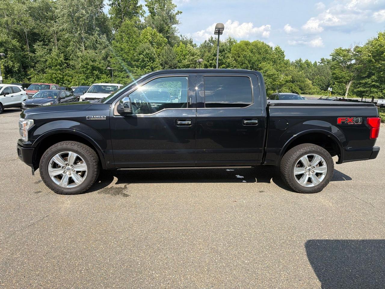 2019 Ford F-150 Platinum Ashland VA
