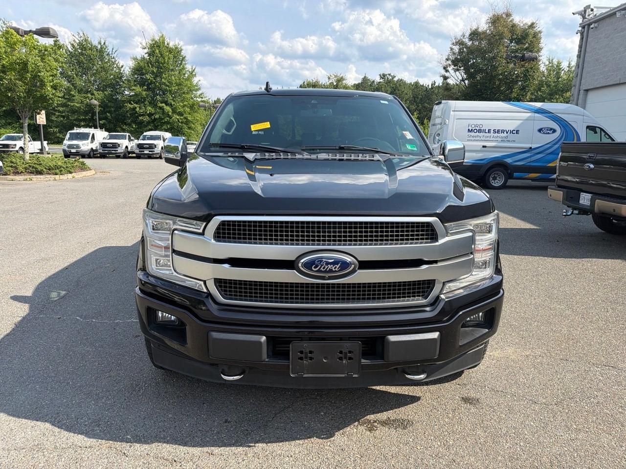 2019 Ford F-150 Platinum Ashland VA
