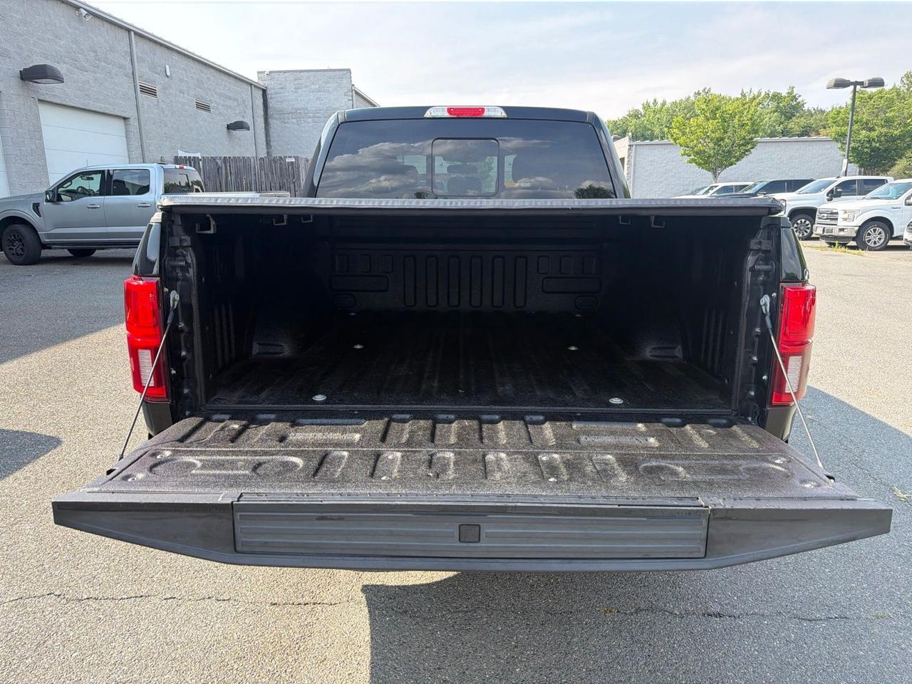 2019 Ford F-150 Platinum Ashland VA