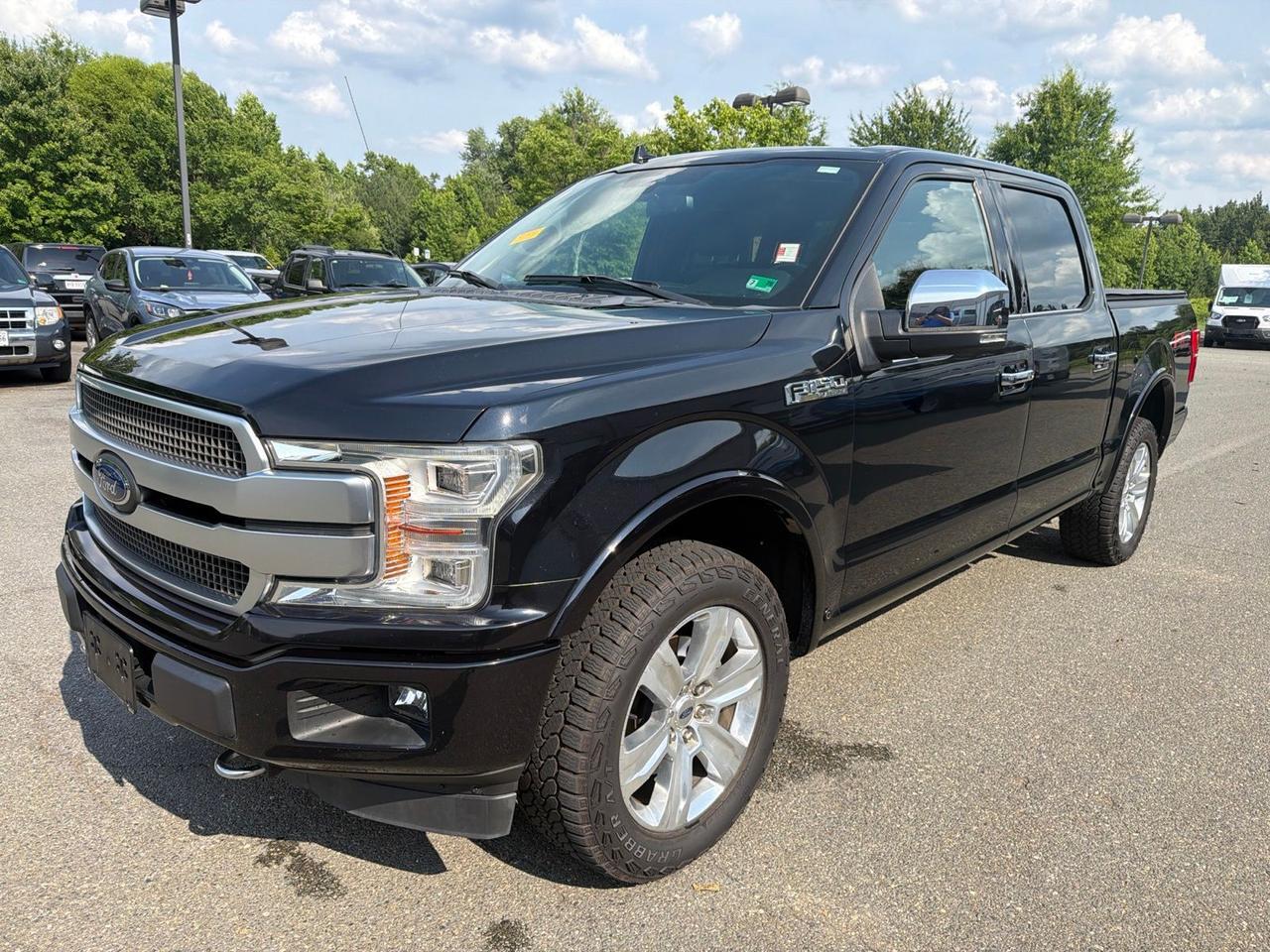 2019 Ford F-150 Platinum Ashland VA