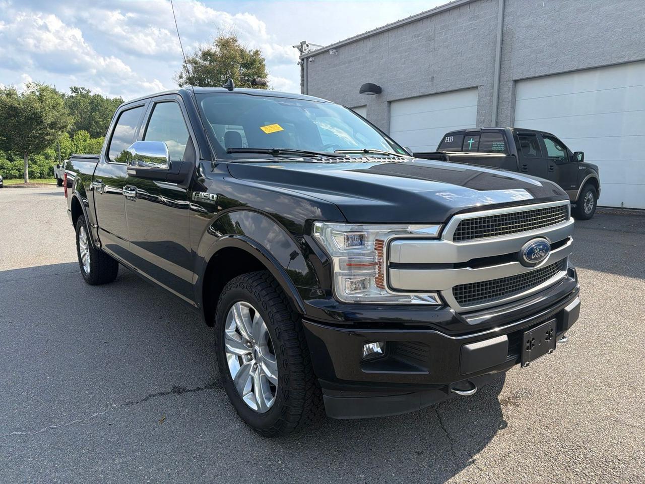 2019 Ford F-150 Platinum Ashland VA