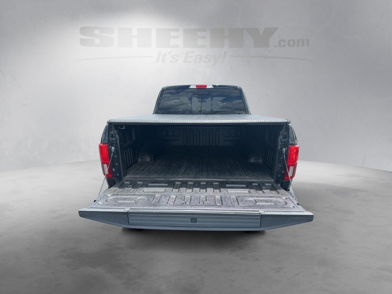 2019 Ford F-150 Platinum Richmond VA