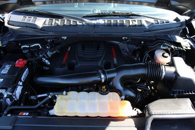 2019 Ford F-150 Raptor Klamath Falls OR