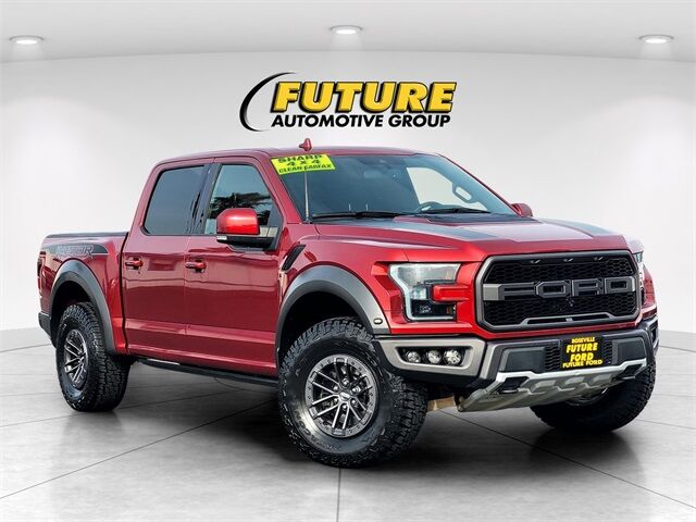 2019 Ford F-150 Raptor