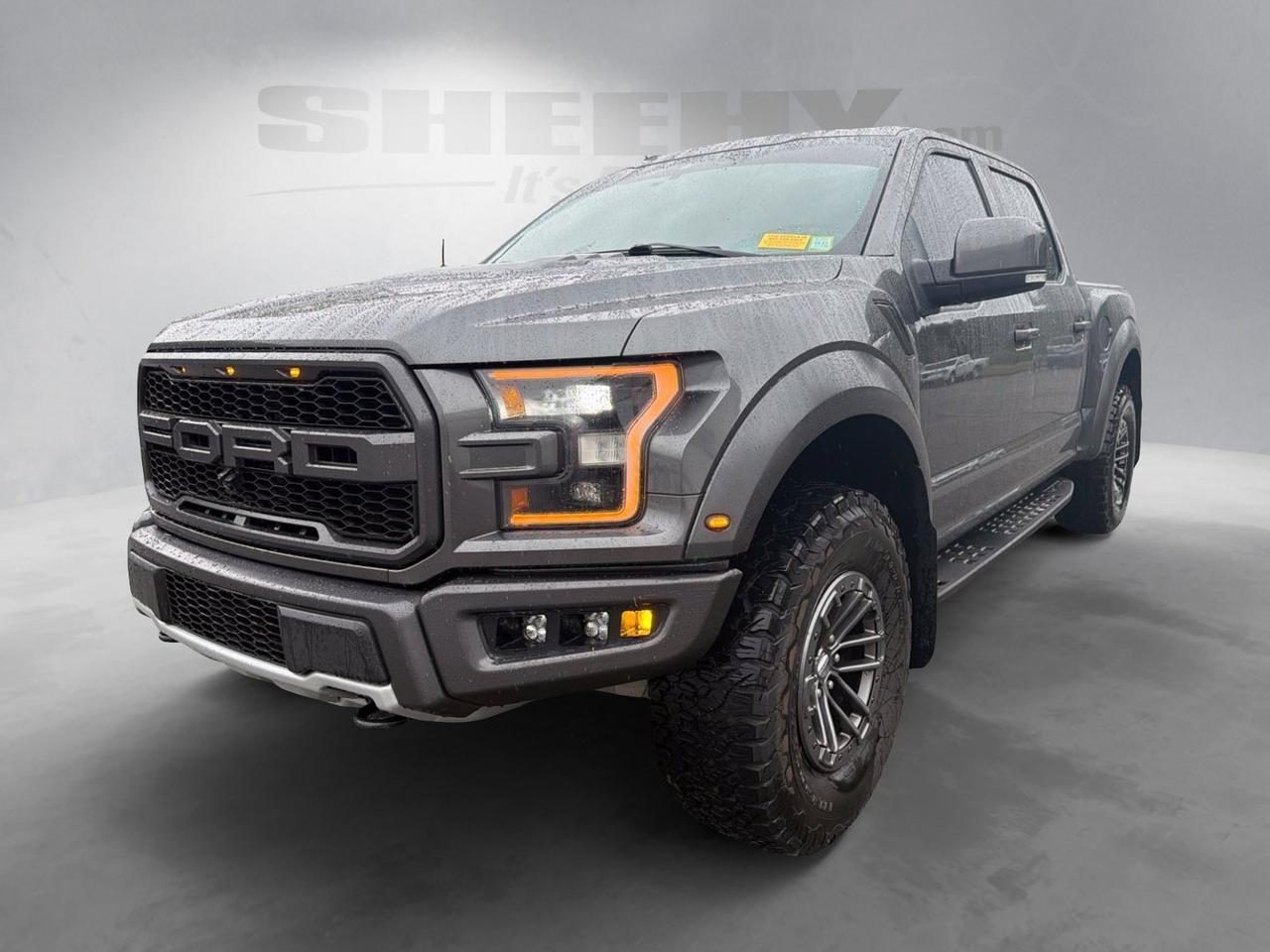2019 Ford F-150 Raptor Ashland VA