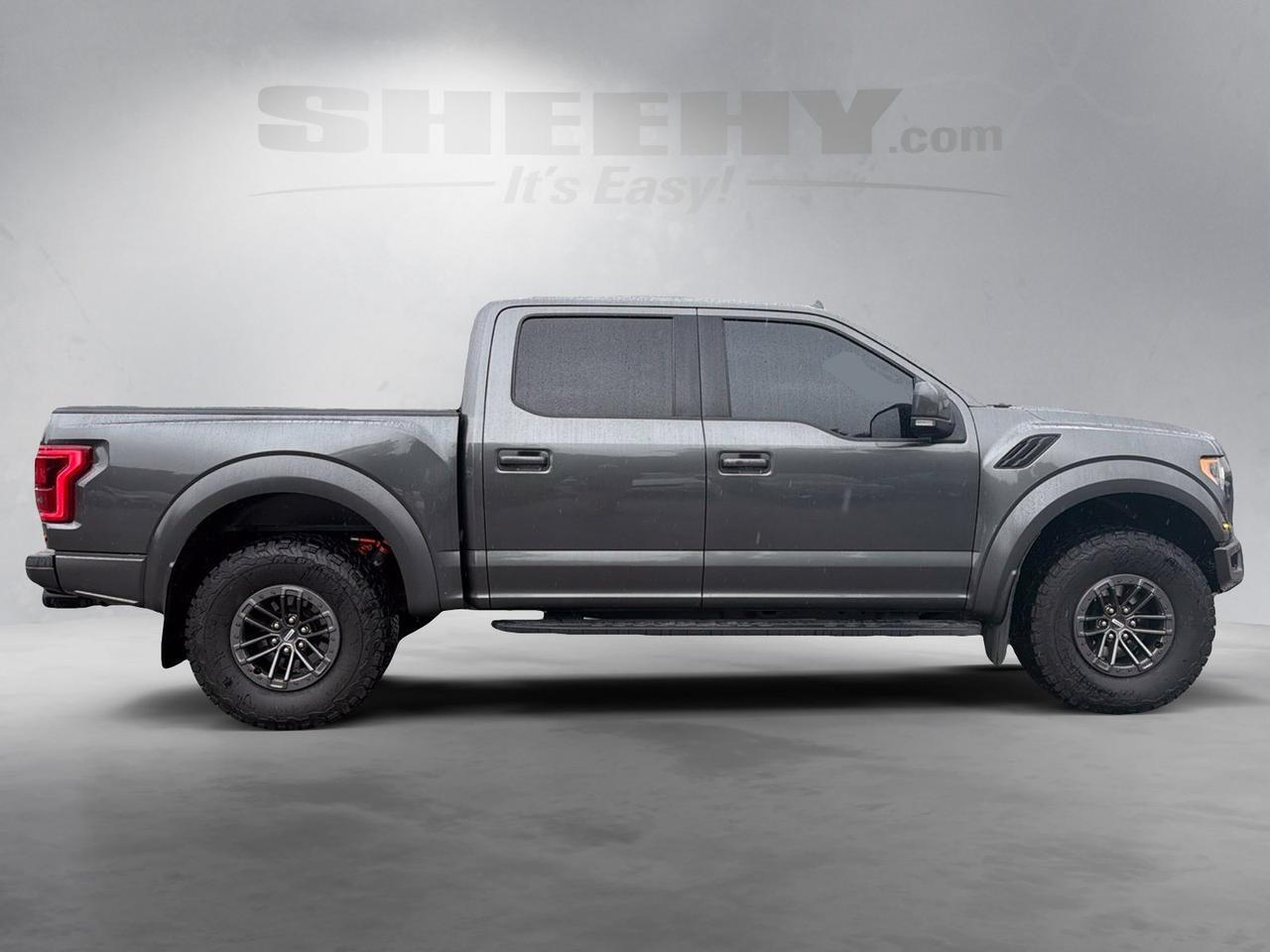 2019 Ford F-150 Raptor Ashland VA