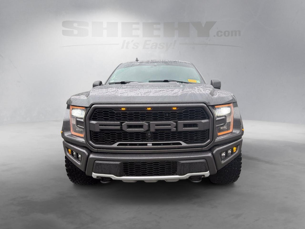 2019 Ford F-150 Raptor Ashland VA