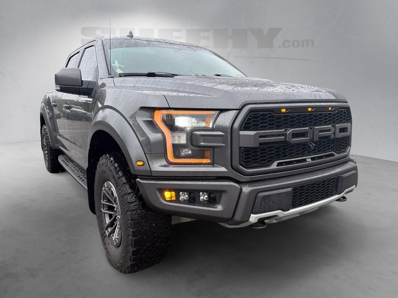 2019 Ford F-150 Raptor Ashland VA