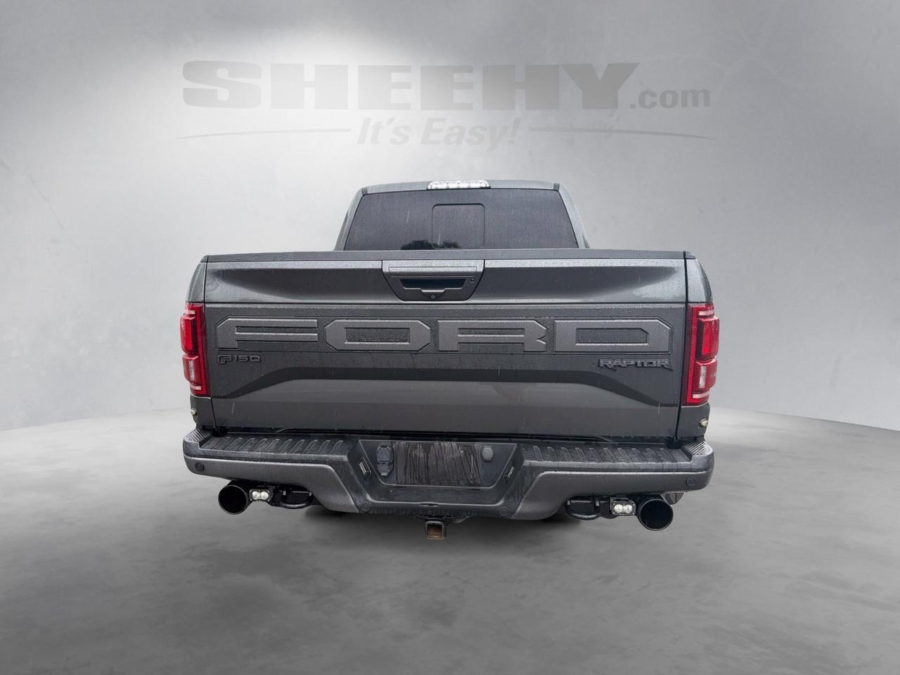 2019 Ford F-150 Raptor Ashland VA