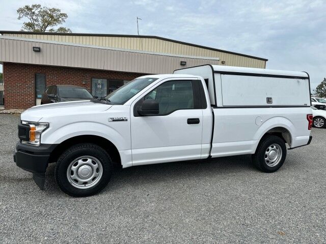 2019 Ford F-150 Regular Cab
