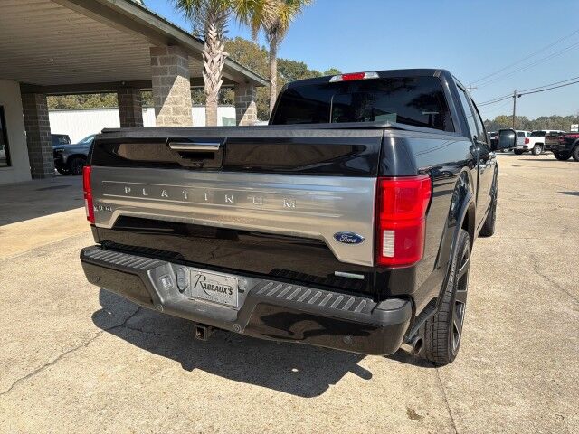 2019 Ford F-150 SuperCrew Platinum Lafayette LA