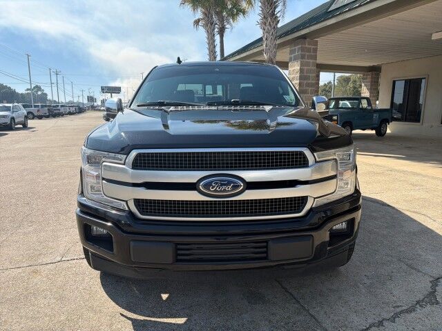 2019 Ford F-150 SuperCrew Platinum Lafayette LA