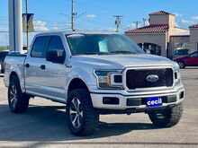 2019_Ford_F-150_XL_  TX