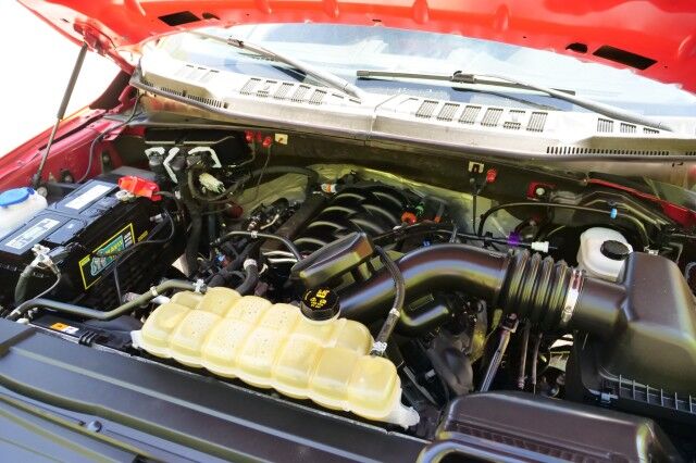 2019 Ford F-150 XL / 5.0L V8 / STX PKG / Trailer Tow Package! High Point NC