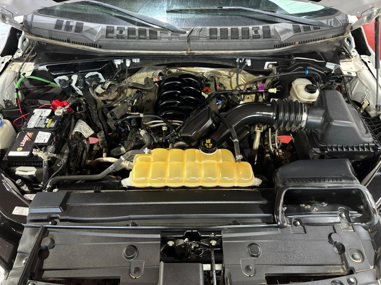 2019 Ford F-150 XL Franklin OH