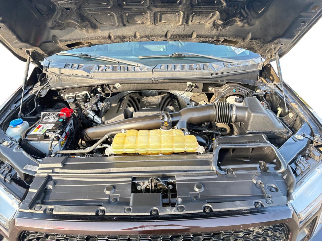 2019 Ford F-150 XL New Braunfels TX