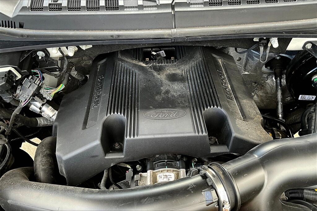 2019 Ford F-150 XLT OR