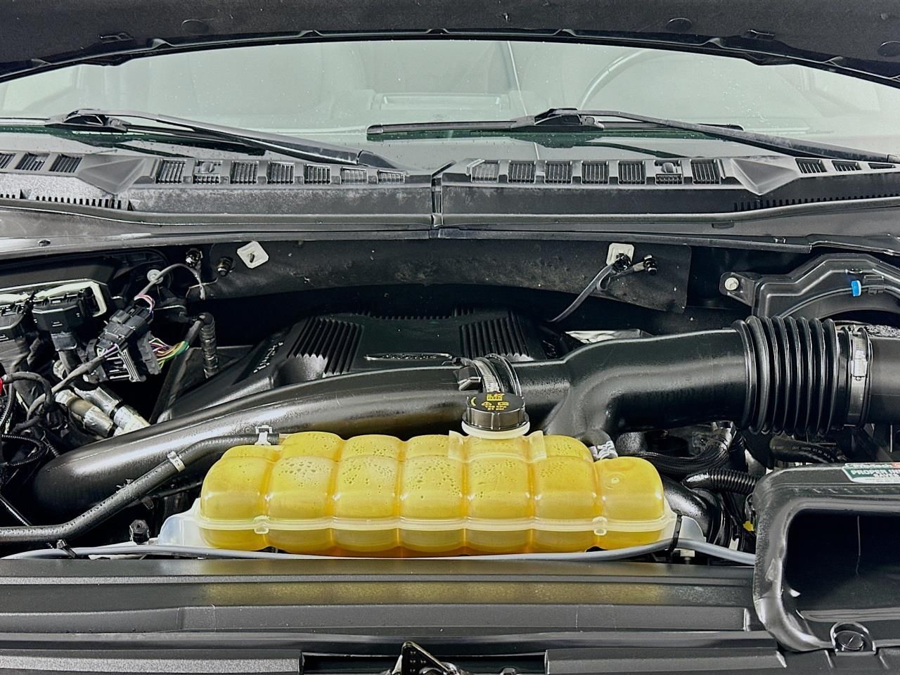 2019 Ford F-150 XLT Tacoma WA