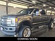 2019 Ford F-250SD Platinum