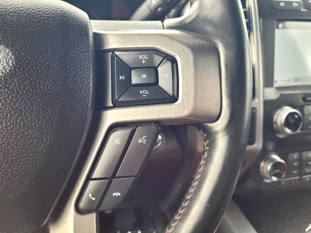 2019 Ford F-250SD Platinum Roseville CA