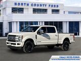 2019 Ford F-250SD Platinum San Diego County CA