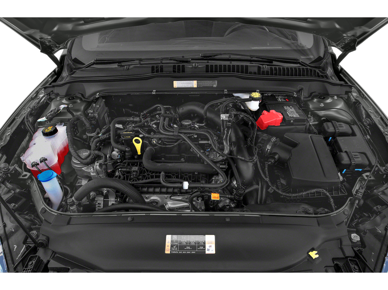 2019 Ford FUSION TITANIUM Roseville CA