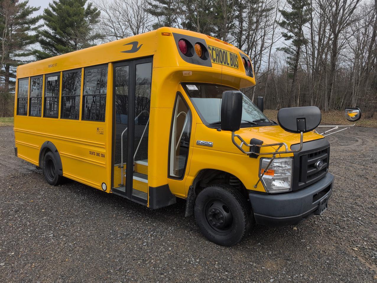 2019 Ford GIRARDIN MICROBIRD