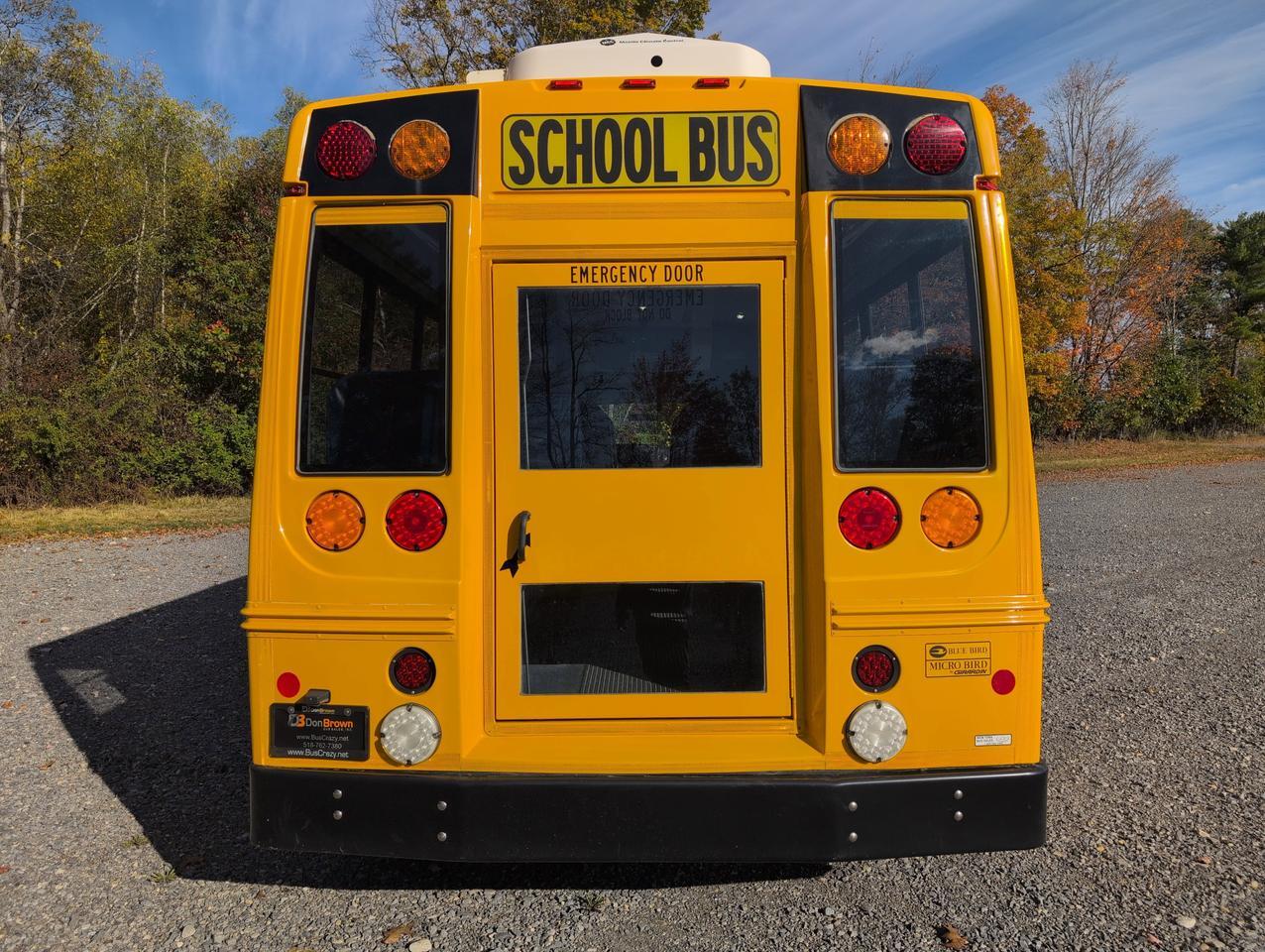 2019 Ford GIRARDIN MICROBIRD