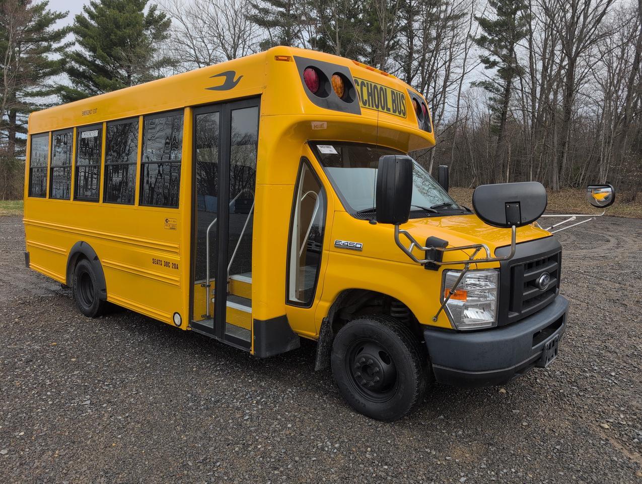 2019 Ford GIRARDIN MICROBIRD