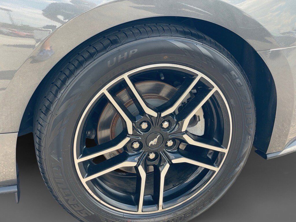 2019 Ford Mustang Oak Ridge TN