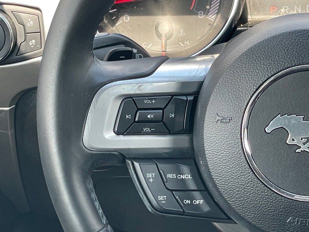 2019 Ford Mustang Oak Ridge TN