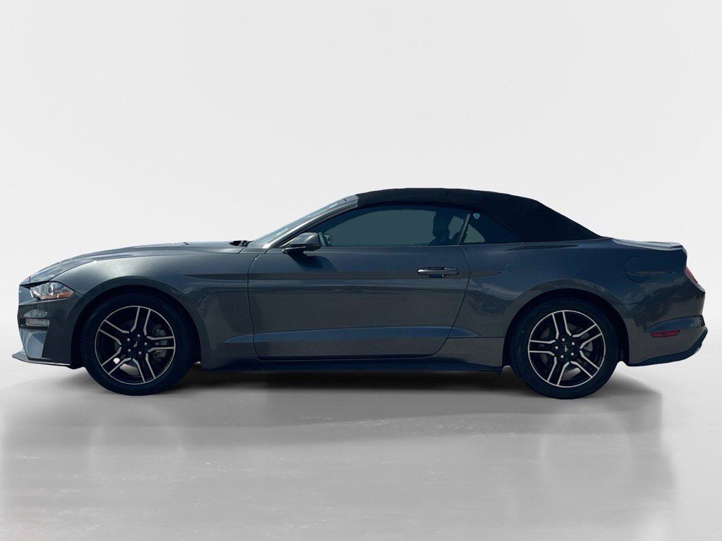 2019 Ford Mustang Oak Ridge TN