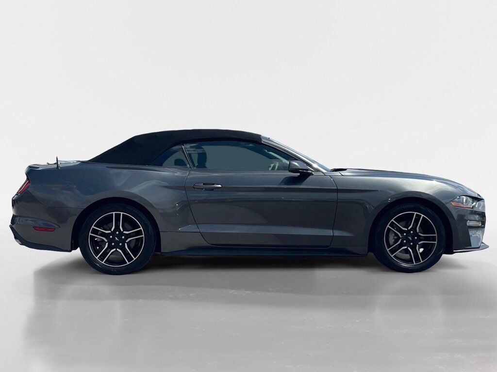 2019 Ford Mustang Oak Ridge TN