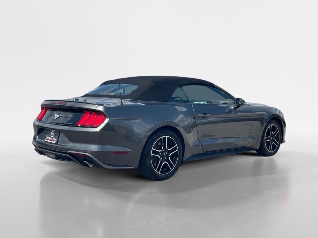 2019 Ford Mustang Oak Ridge TN